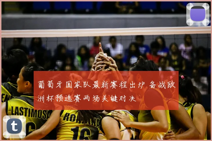 葡萄牙国家队最新赛程出炉 备战欧洲杯预选赛两场关键对决
