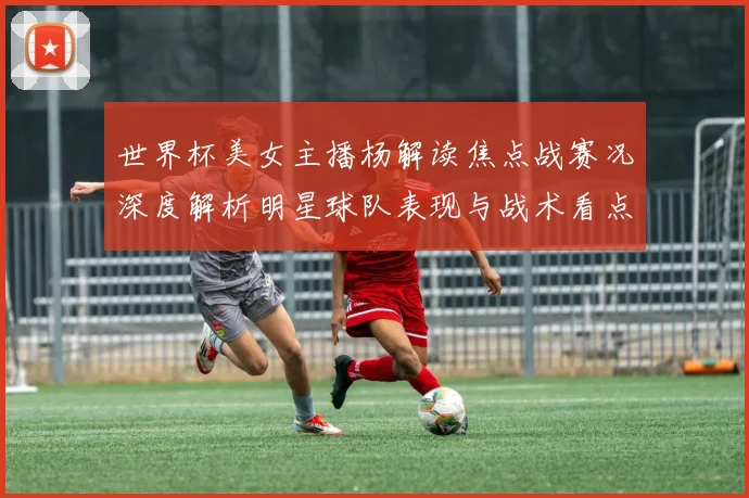 世界杯美女主播杨解读焦点战赛况深度解析明星球队表现与战术看点