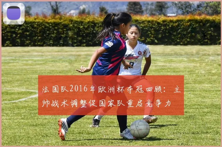 法国队2016年欧洲杯夺冠回顾：主帅战术调整促国家队重启竞争力