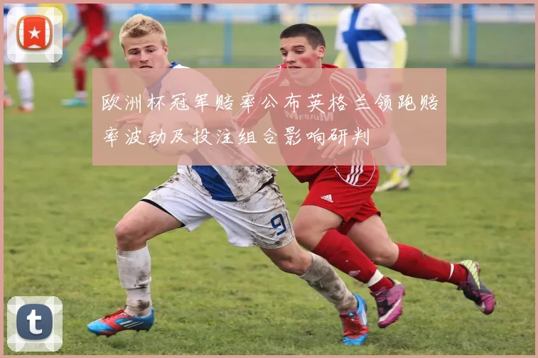欧洲杯冠军赔率公布英格兰领跑赔率波动及投注组合影响研判