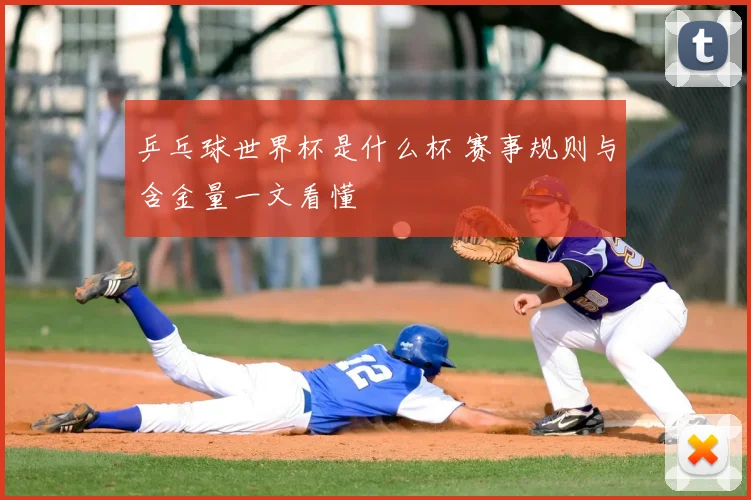 乒乓球世界杯是什么杯 赛事规则与含金量一文看懂