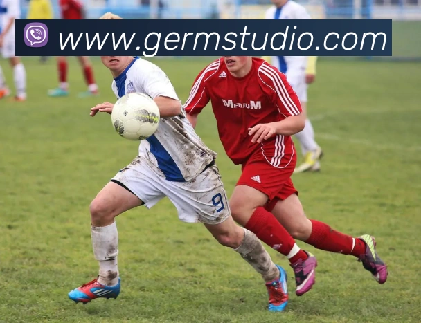 开云手机在线登录官网平台生态图